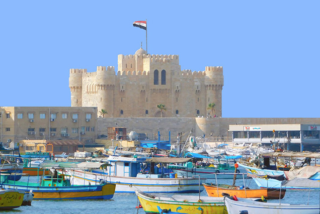 Alexandria Tour (1)