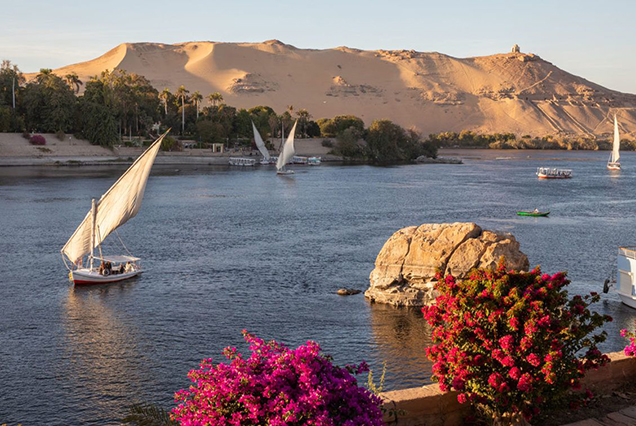 Aswan Tour (2)